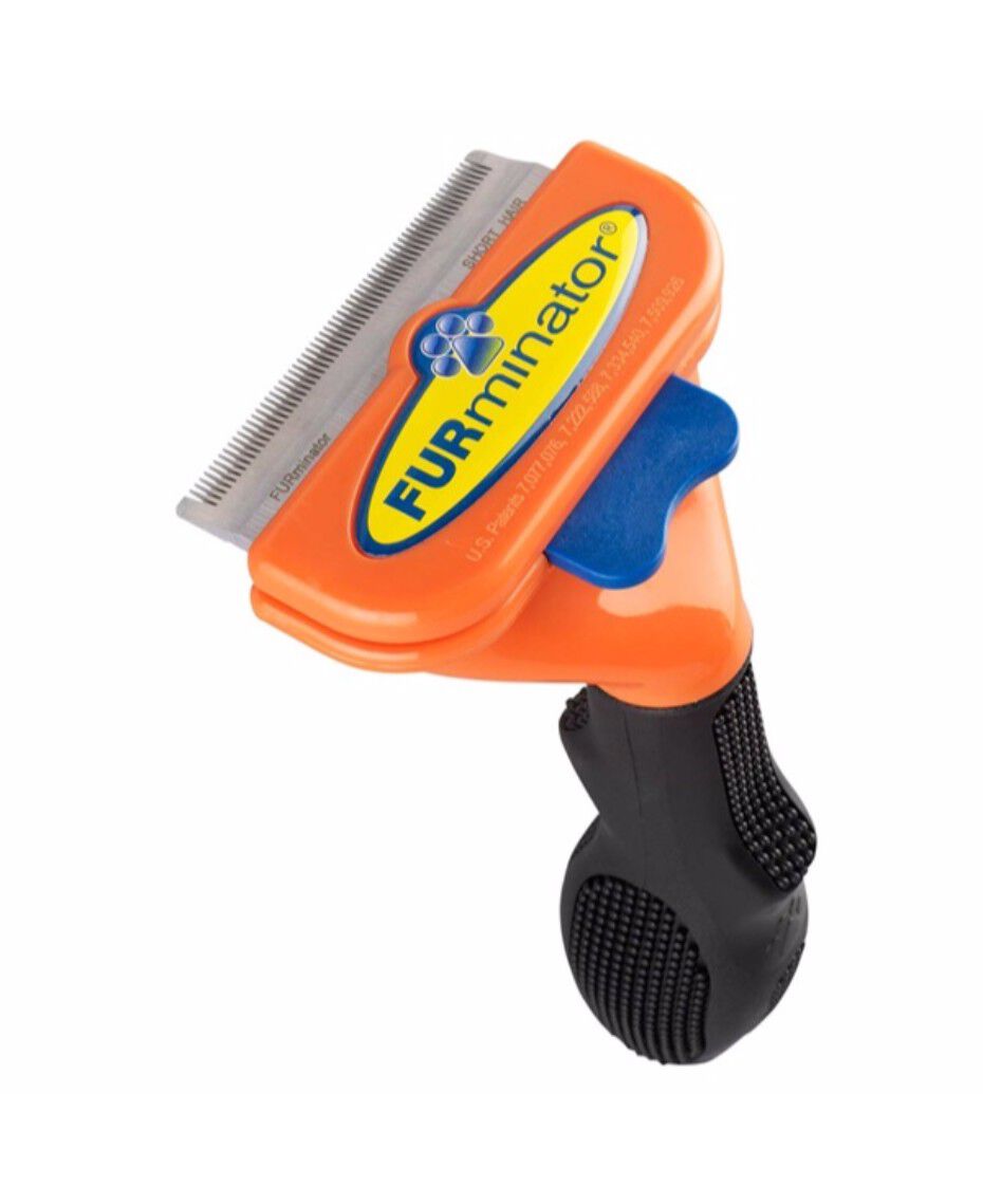 Remington Medium Dog Short Hair Brush Shaver Shop